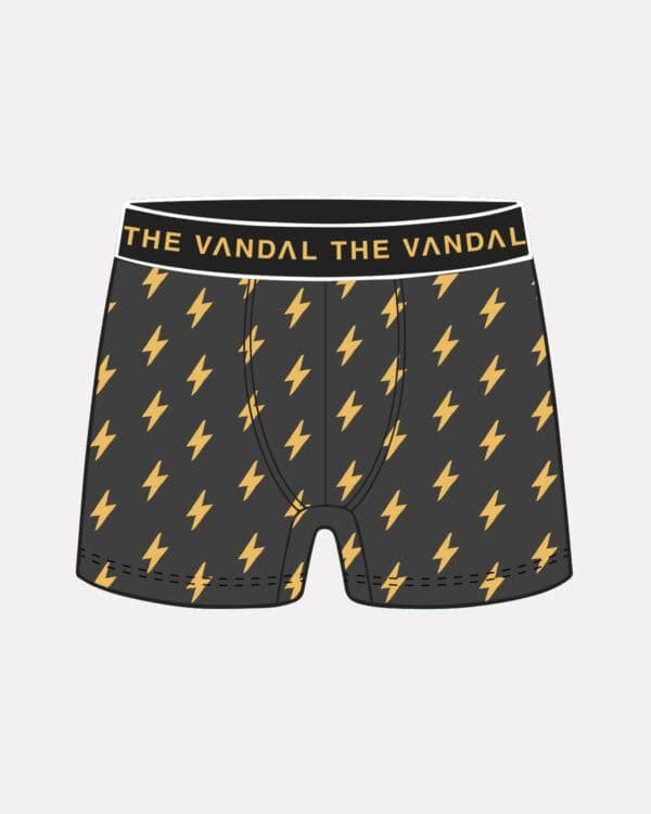 Lightning Boxer shorts